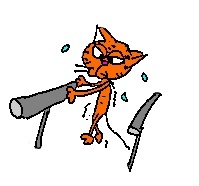 11gatu2.jpg