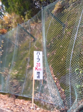 tanzawa6.jpeg